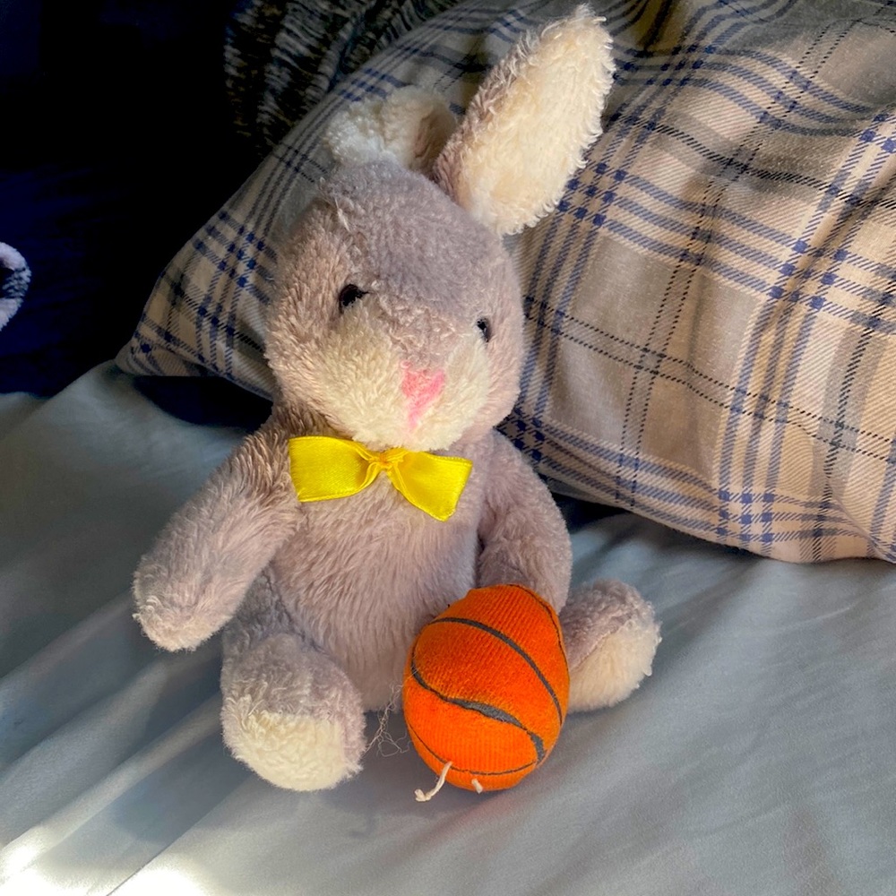 Bunny stuffed animal with basketball